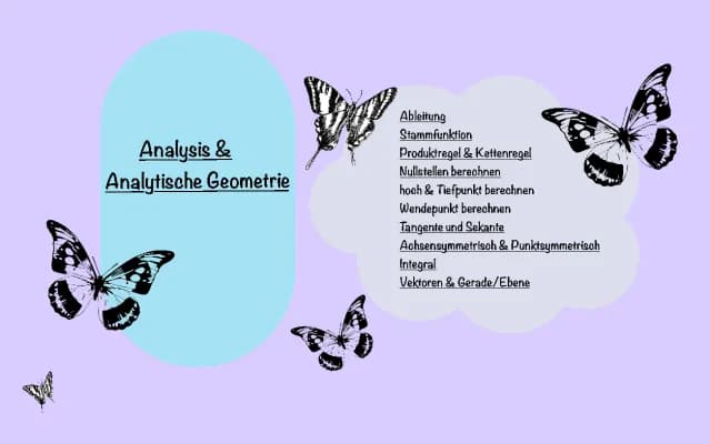 Know Analysis & Analytische Geometrie thumbnail