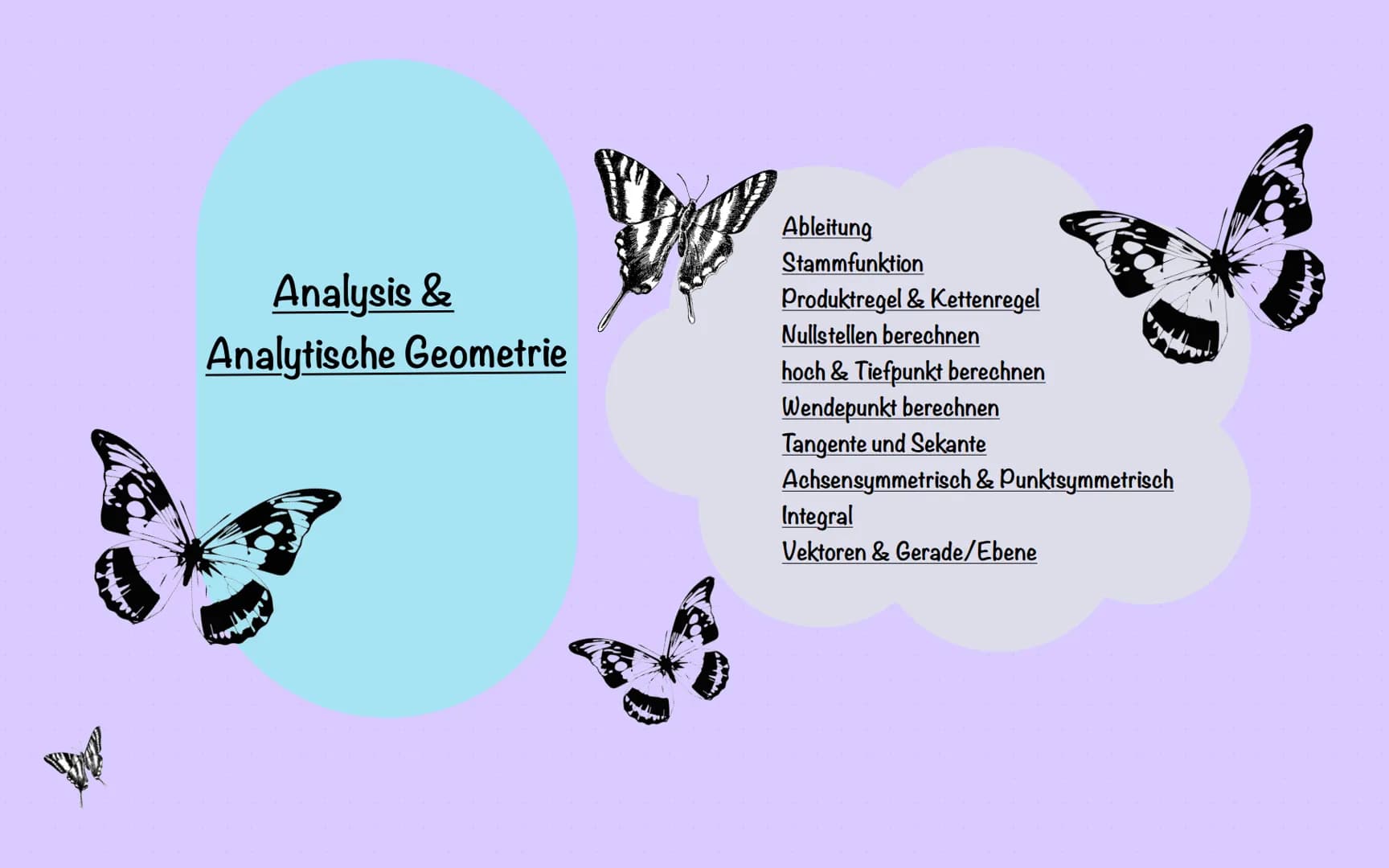 Analysis &
Analytische Geometrie
Ableitung
Stammfunktion
Produktregel & Kettenregel
Nullstellen berechnen
hoch & Tiefpunkt berechnen
Wendepu