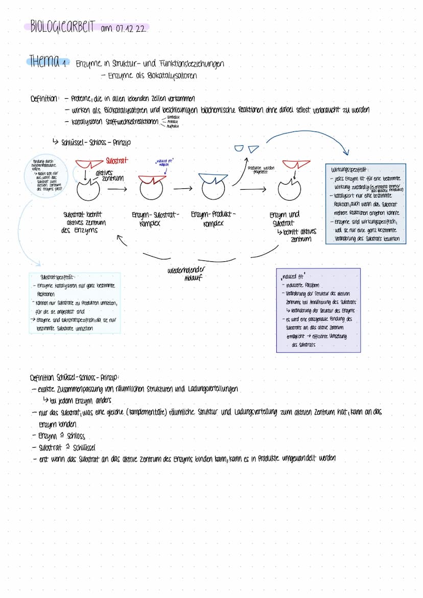 BIOLOGICARBEIT
am 07.12 22 BIOLOGICARBEIT am 07.12 22.
THema Enzyme in Struktur- und Funktionsbeziehungen
- Enzyme als Biokatalysatoren
Defi