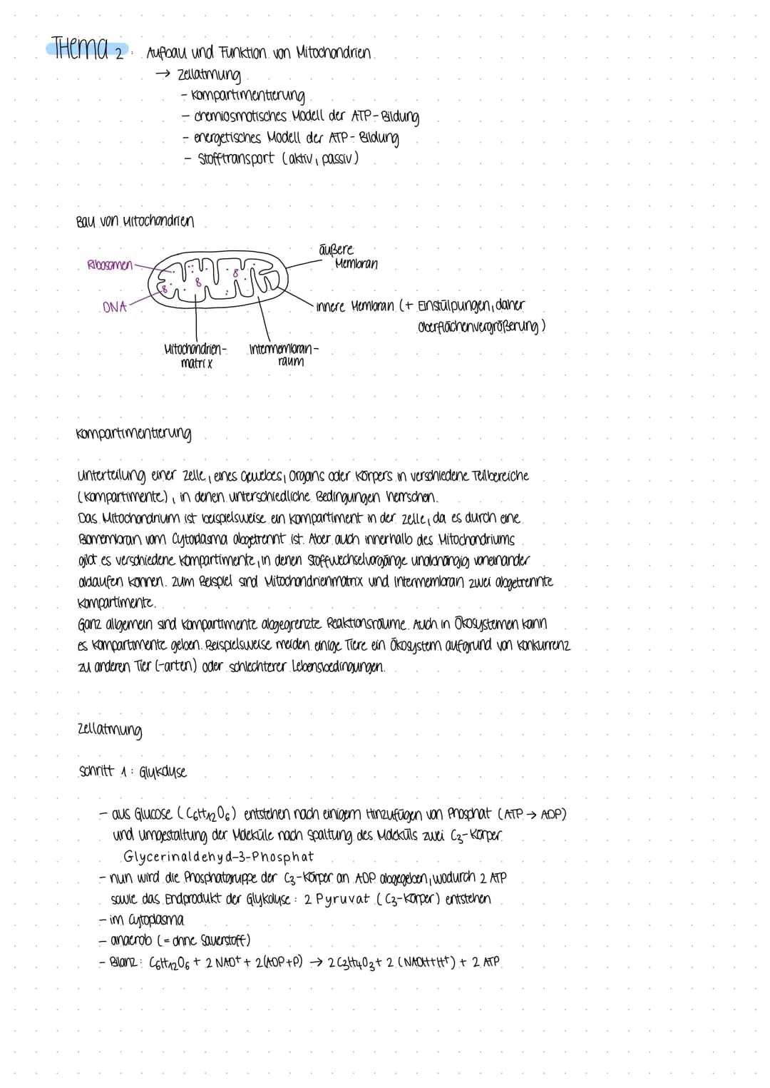 BIOLOGICARBEIT
am 07.12 22 BIOLOGICARBEIT am 07.12 22.
THema Enzyme in Struktur- und Funktionsbeziehungen
- Enzyme als Biokatalysatoren
Defi