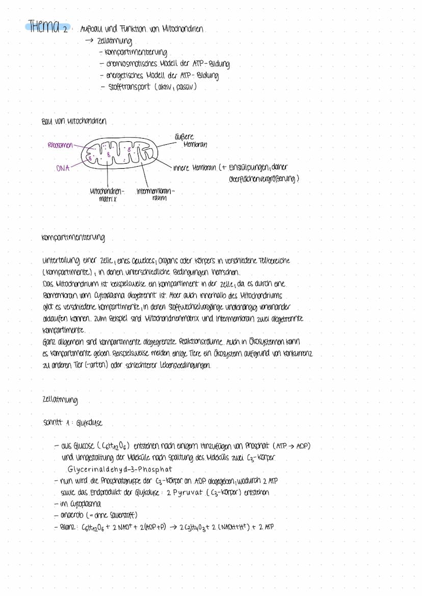 BIOLOGICARBEIT
am 07.12 22 BIOLOGICARBEIT am 07.12 22.
THema Enzyme in Struktur- und Funktionsbeziehungen
- Enzyme als Biokatalysatoren
Defi