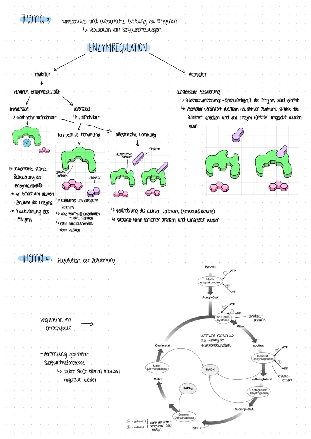 BIOLOGICARBEIT
am 07.12 22 BIOLOGICARBEIT am 07.12 22.
THema Enzyme in Struktur- und Funktionsbeziehungen
- Enzyme als Biokatalysatoren
Defi