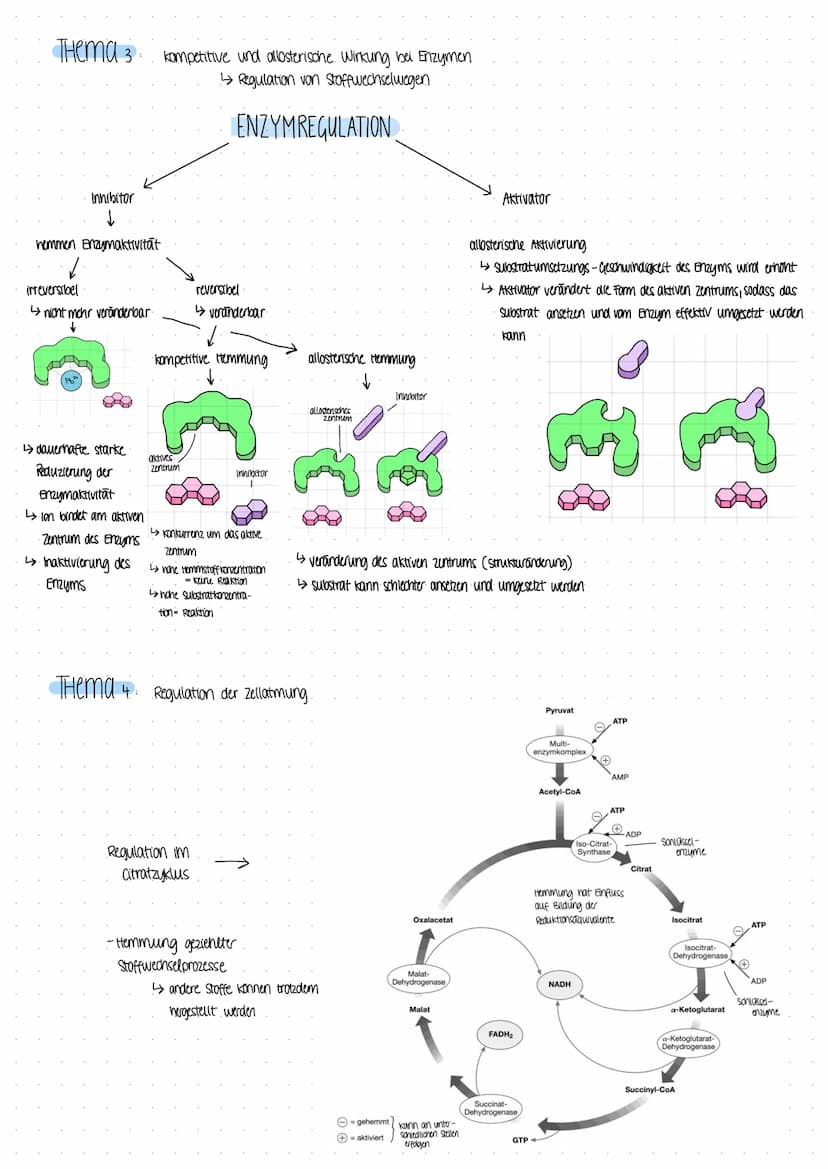 BIOLOGICARBEIT
am 07.12 22 BIOLOGICARBEIT am 07.12 22.
THema Enzyme in Struktur- und Funktionsbeziehungen
- Enzyme als Biokatalysatoren
Defi