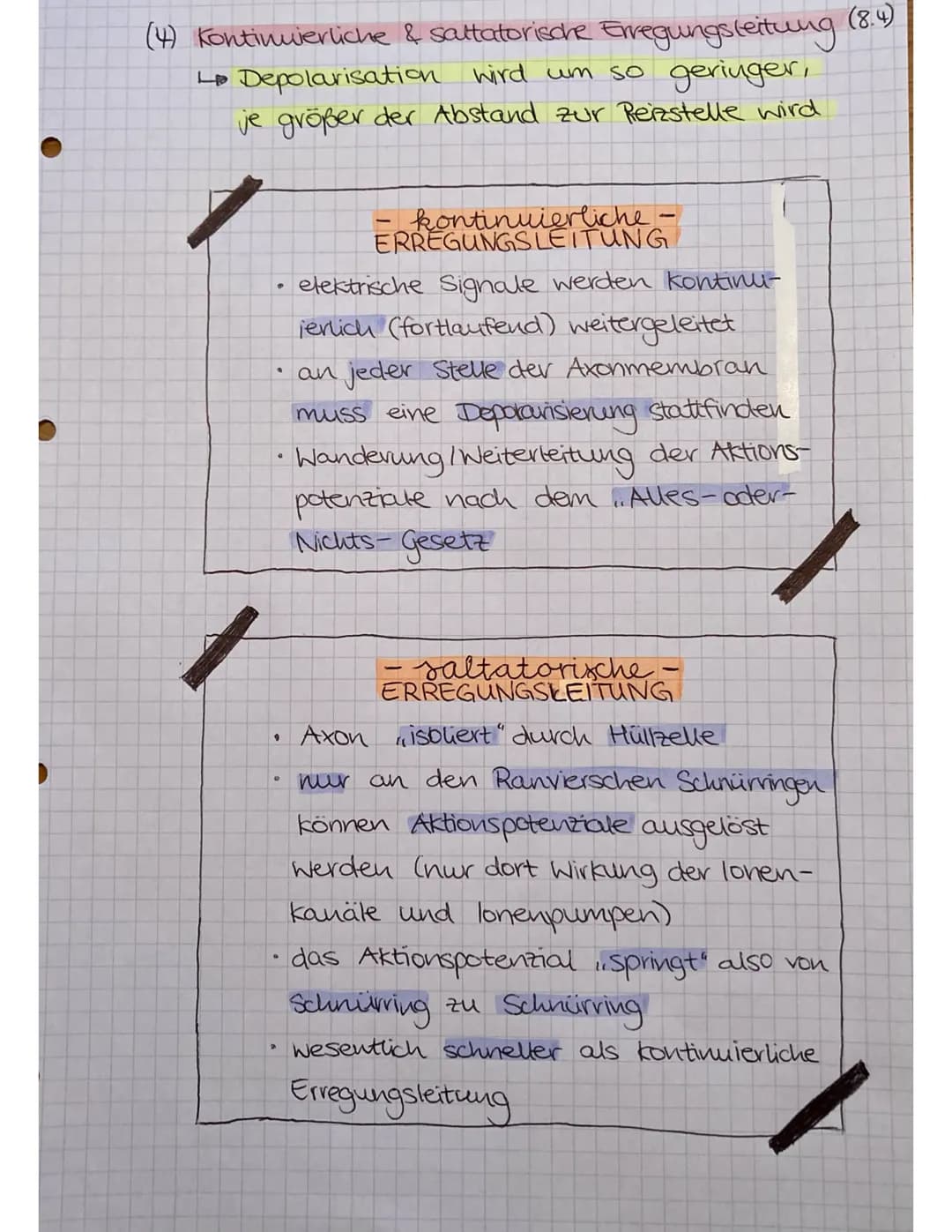 (4) Kontinuierliche & saltatorische Erregungsleitung
4 Depolarisation wird um so geringer,
je größer der Abstand zur Reizstelle wird
•
.
9
2