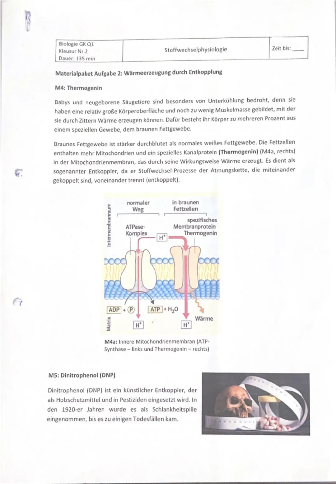 # Biologie GK Q1
# Klausur Nr.2
# Dauer: 135 min

Stoffwechselphysiologie
Zeit bis: _____

**Materialpaket Aufgabe 2: Wärmeerzeugung durch E