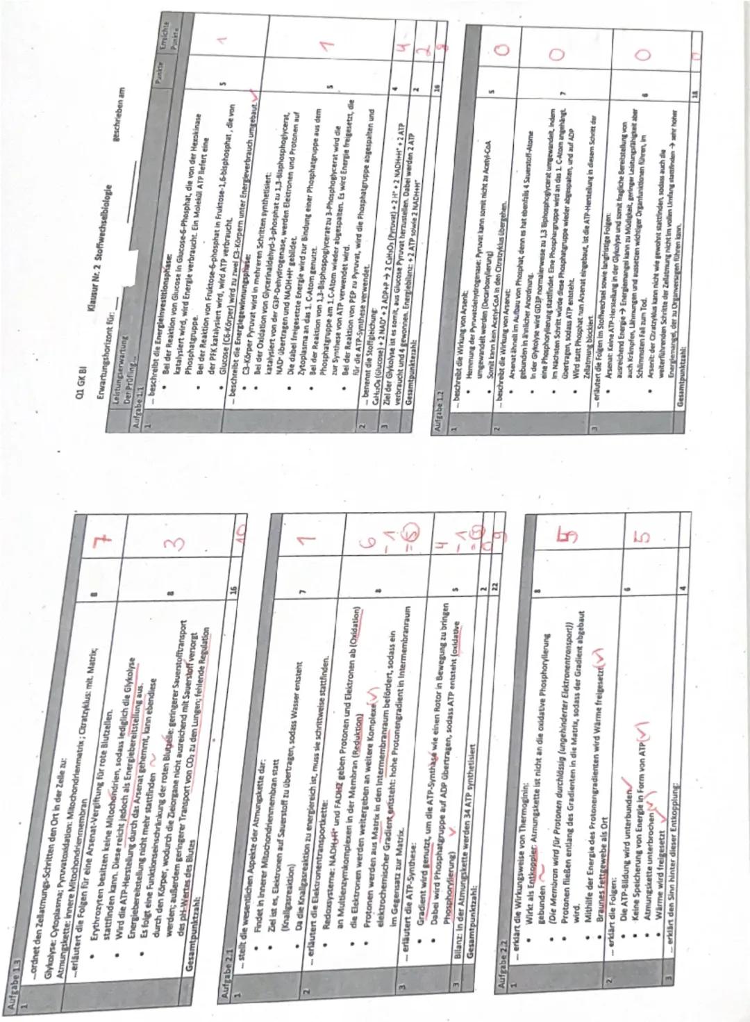 # Biologie GK Q1
# Klausur Nr.2
# Dauer: 135 min

Stoffwechselphysiologie
Zeit bis: _____

**Materialpaket Aufgabe 2: Wärmeerzeugung durch E