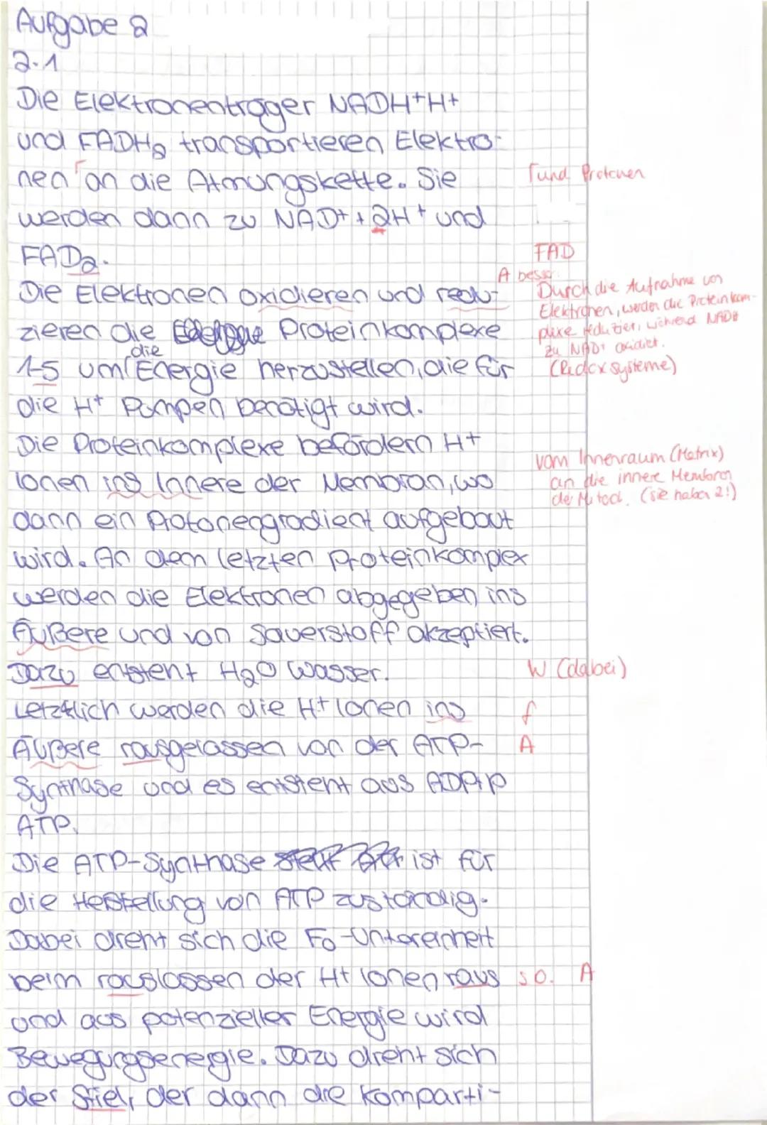 # Biologie GK Q1
# Klausur Nr.2
# Dauer: 135 min

Stoffwechselphysiologie
Zeit bis: _____

**Materialpaket Aufgabe 2: Wärmeerzeugung durch E