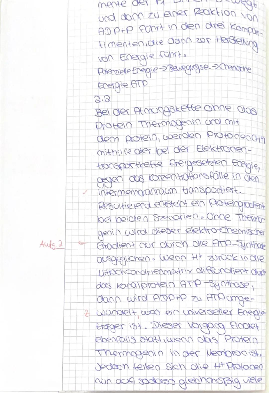 # Biologie GK Q1
# Klausur Nr.2
# Dauer: 135 min

Stoffwechselphysiologie
Zeit bis: _____

**Materialpaket Aufgabe 2: Wärmeerzeugung durch E