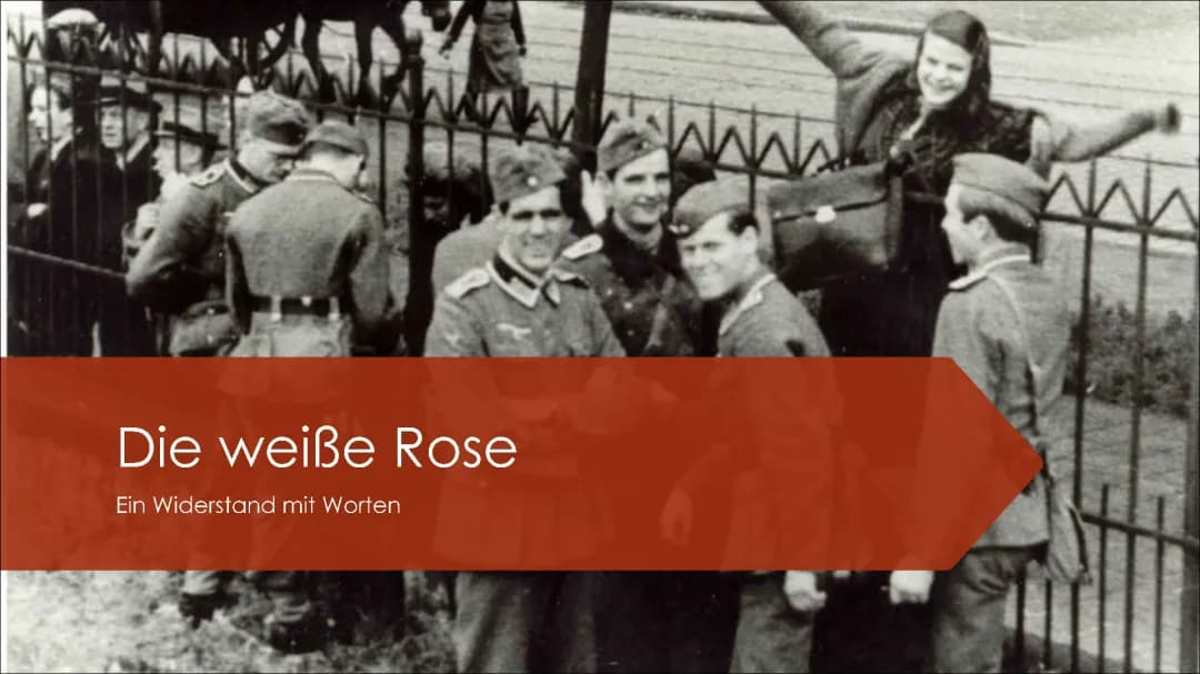 Die Weiße Rose