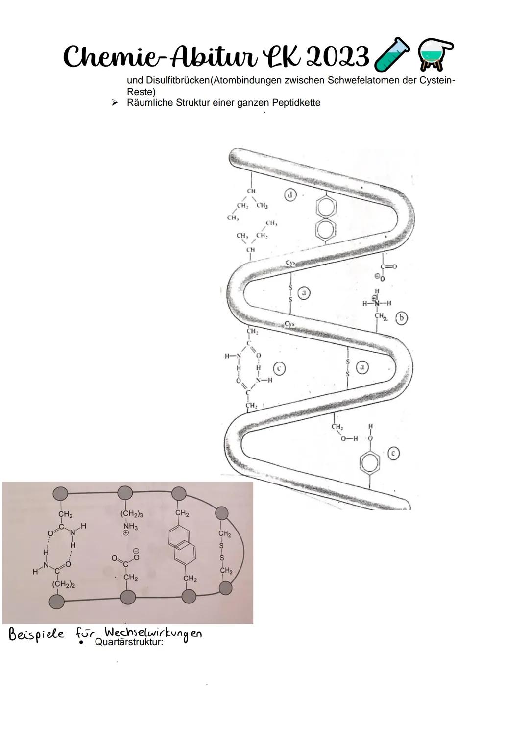 Chemie-Abitur CK 2023
Kohlenhydrate & Peptide
Monosaccharide:
Glucose
●
Monosaccharid
C6H12O10
Position Hydroxygruppen an Chiralitätszentren