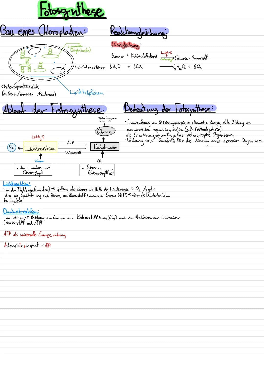 Fotosynthese 