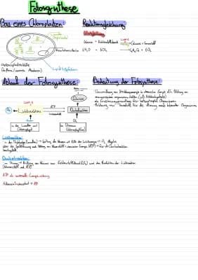 Know Fotosynthese  thumbnail