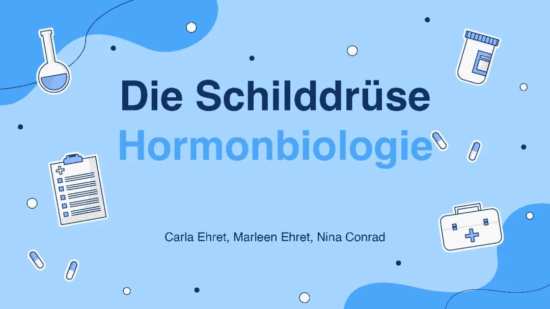 Schilddrüsen Hormone