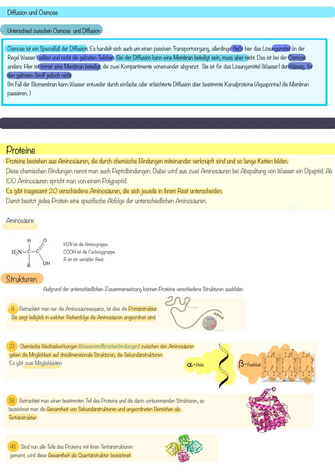 aboଠାମ Themen der Klausur
Biomembran Diffusion & Osmose
Biomembran
Aufbau
Eine Biomembran kommt in Zellen aller Lebewesen vor
Kanalprotein
C