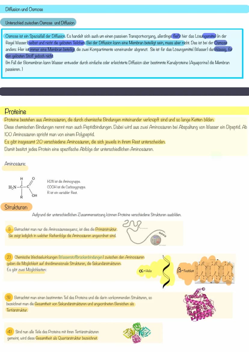 aboଠାମ Themen der Klausur
Biomembran Diffusion & Osmose
Biomembran
Aufbau
Eine Biomembran kommt in Zellen aller Lebewesen vor
Kanalprotein
C
