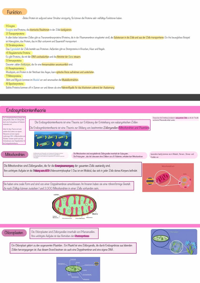 aboଠାମ Themen der Klausur
Biomembran Diffusion & Osmose
Biomembran
Aufbau
Eine Biomembran kommt in Zellen aller Lebewesen vor
Kanalprotein
C