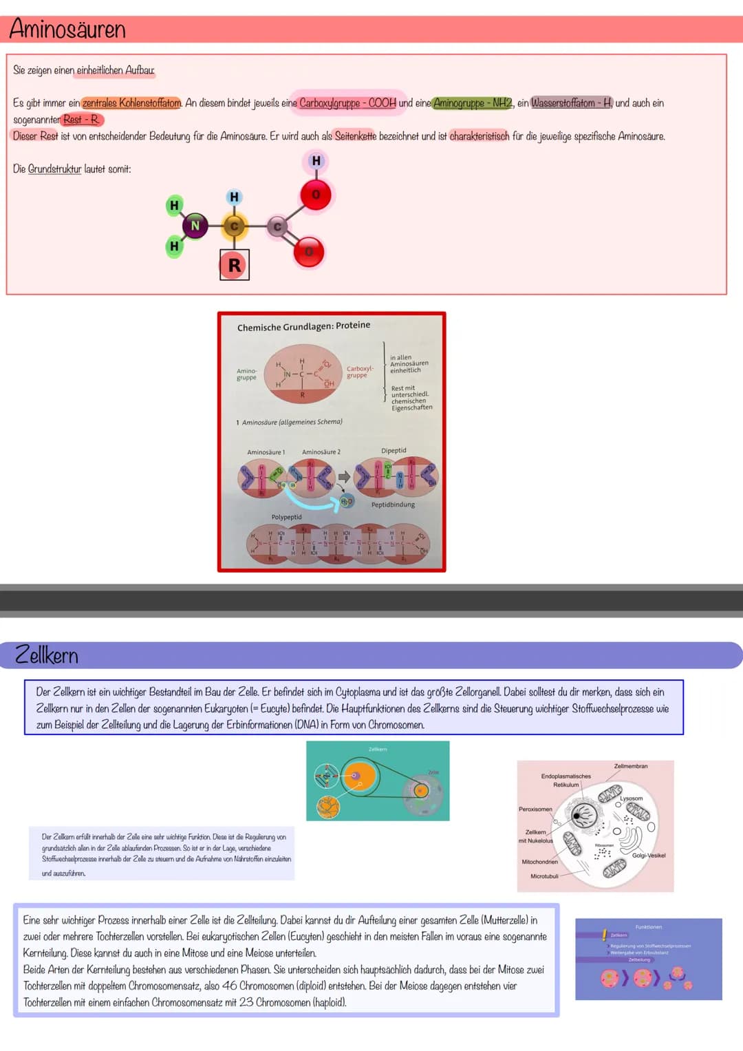 aboଠାମ Themen der Klausur
Biomembran Diffusion & Osmose
Biomembran
Aufbau
Eine Biomembran kommt in Zellen aller Lebewesen vor
Kanalprotein
C