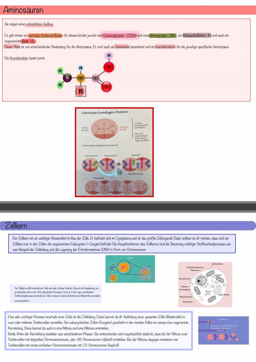 aboଠାମ Themen der Klausur
Biomembran Diffusion & Osmose
Biomembran
Aufbau
Eine Biomembran kommt in Zellen aller Lebewesen vor
Kanalprotein
C