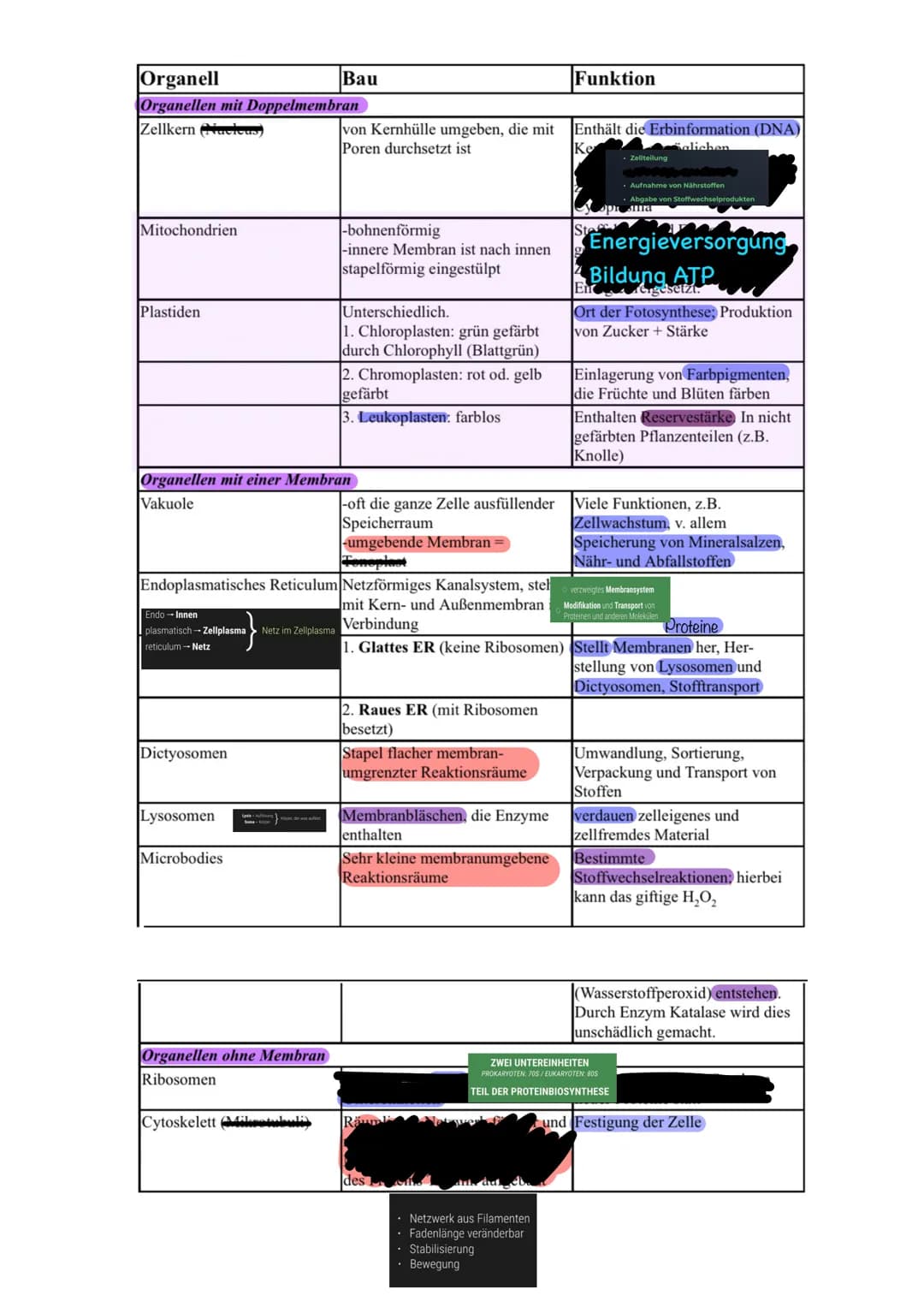 aboଠାମ Themen der Klausur
Biomembran Diffusion & Osmose
Biomembran
Aufbau
Eine Biomembran kommt in Zellen aller Lebewesen vor
Kanalprotein
C