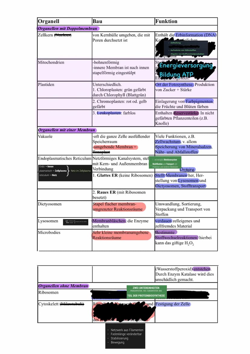 aboଠାମ Themen der Klausur
Biomembran Diffusion & Osmose
Biomembran
Aufbau
Eine Biomembran kommt in Zellen aller Lebewesen vor
Kanalprotein
C