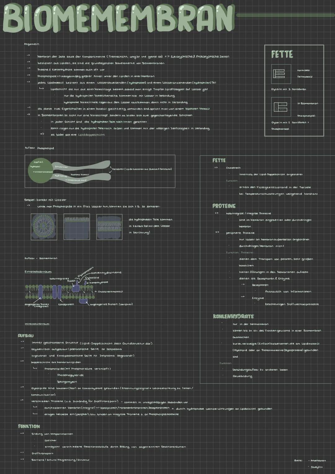 # BIOMEMEMBRAN

AUFBAU

bran

partimente

rennschicht, ungibi

Eukaryotische & Prokaryotische Zasen

FETTE

esten

Prosine

chichi

nur die 