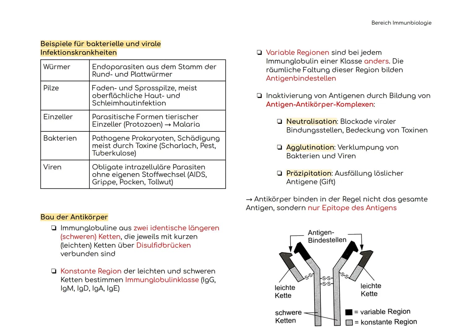 Immunbiologie
Übersicht der Blut und Zelltypen
Erythrozyten
(rote)
Leukozyten
(weiße)
Hämoglobin bindet Sauerstoff
und transportiert ihn zu 