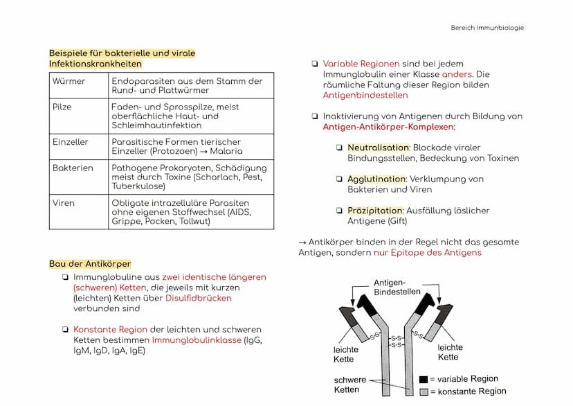 Immunbiologie
Übersicht der Blut und Zelltypen
Erythrozyten
(rote)
Leukozyten
(weiße)
Hämoglobin bindet Sauerstoff
und transportiert ihn zu 