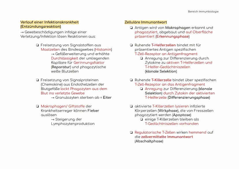 Immunbiologie
Übersicht der Blut und Zelltypen
Erythrozyten
(rote)
Leukozyten
(weiße)
Hämoglobin bindet Sauerstoff
und transportiert ihn zu 