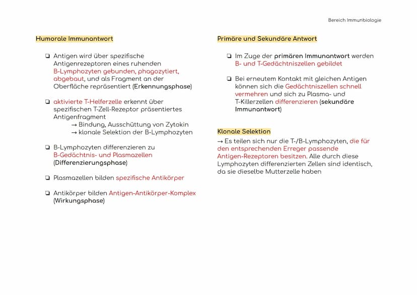 Immunbiologie
Übersicht der Blut und Zelltypen
Erythrozyten
(rote)
Leukozyten
(weiße)
Hämoglobin bindet Sauerstoff
und transportiert ihn zu 