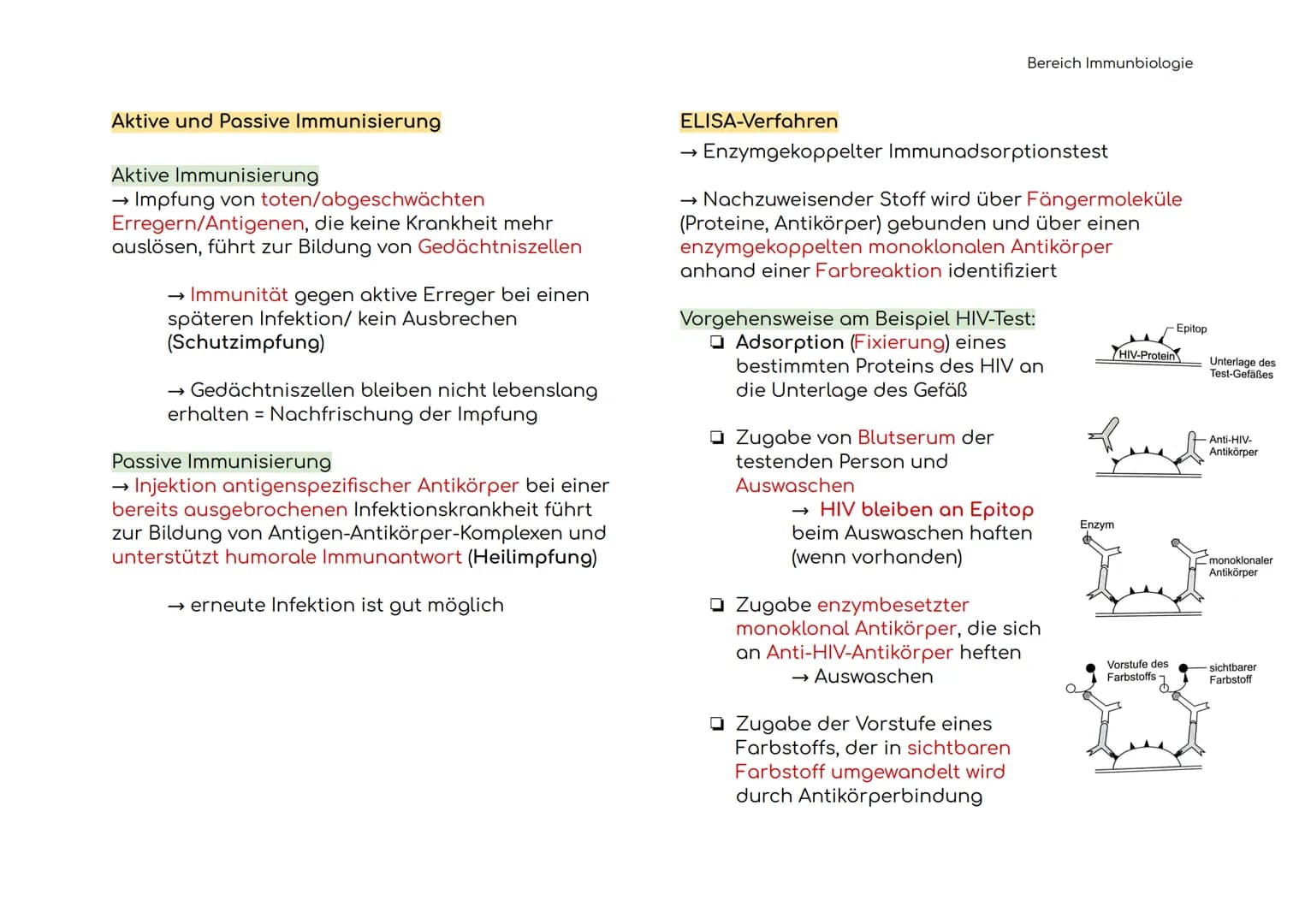 Immunbiologie
Übersicht der Blut und Zelltypen
Erythrozyten
(rote)
Leukozyten
(weiße)
Hämoglobin bindet Sauerstoff
und transportiert ihn zu 