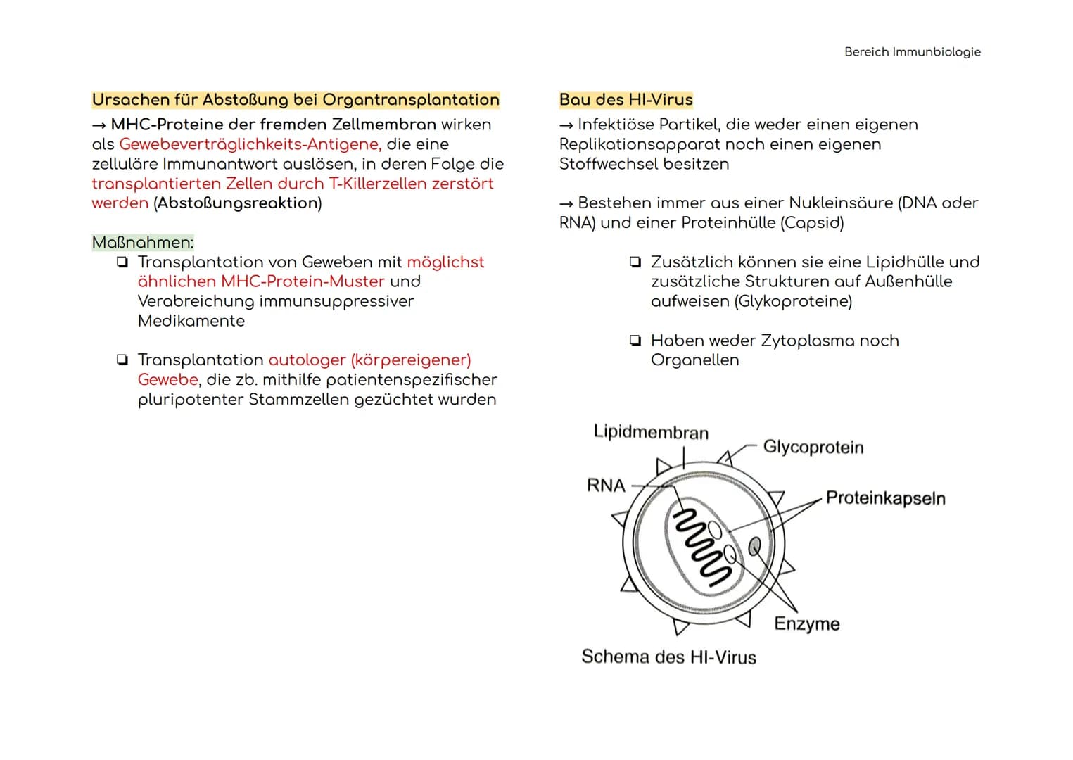 Immunbiologie
Übersicht der Blut und Zelltypen
Erythrozyten
(rote)
Leukozyten
(weiße)
Hämoglobin bindet Sauerstoff
und transportiert ihn zu 
