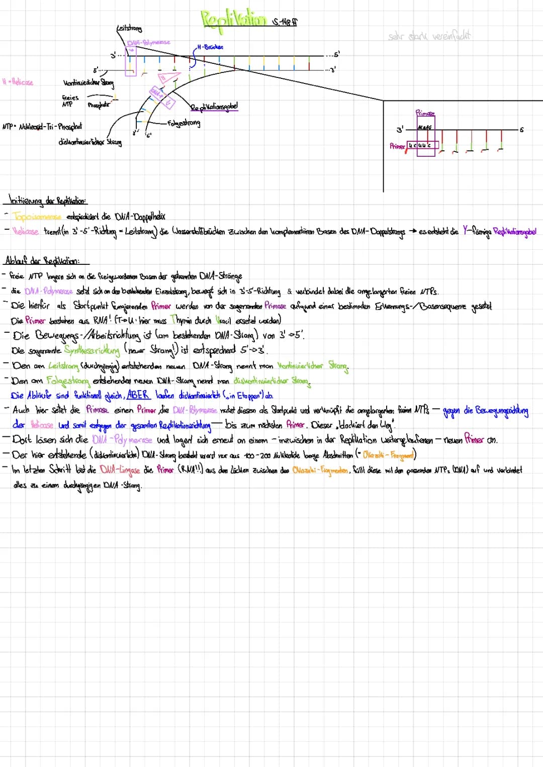 DNA Replikation 