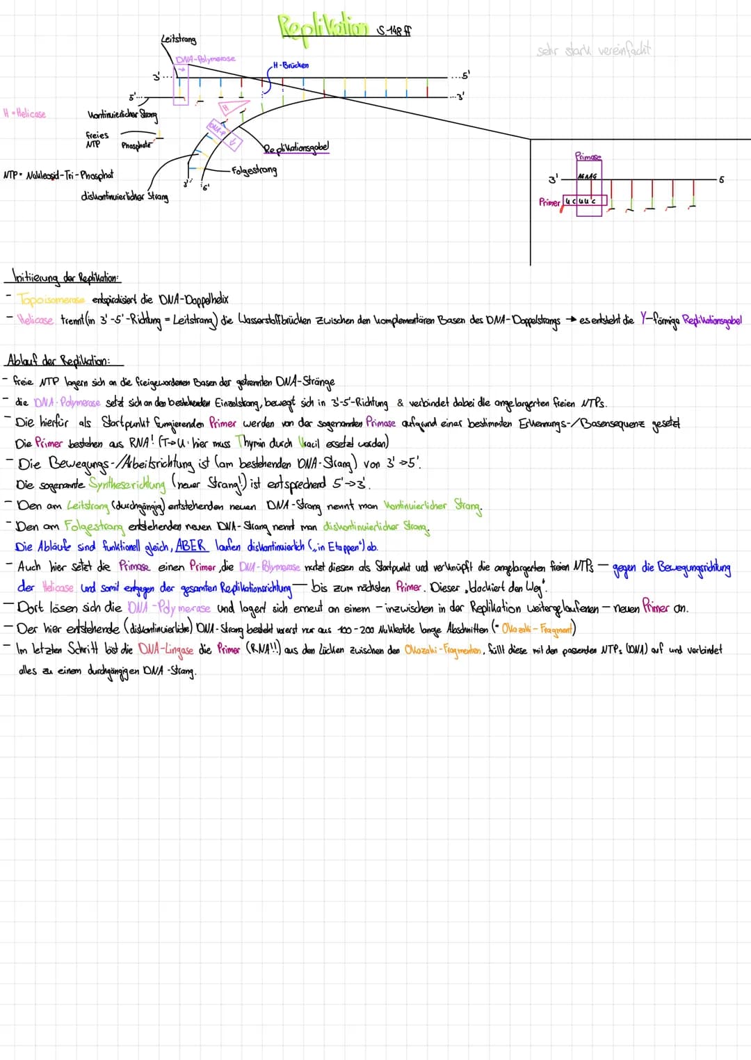 H-Helicase
Wontinuiedicher Strong
freies
NTP
NTP Nalleasid-Tri-Phosphat
3'...
Leitstrang
Phosphate
diskontinuierlicher Strang
DNA-Polymerase