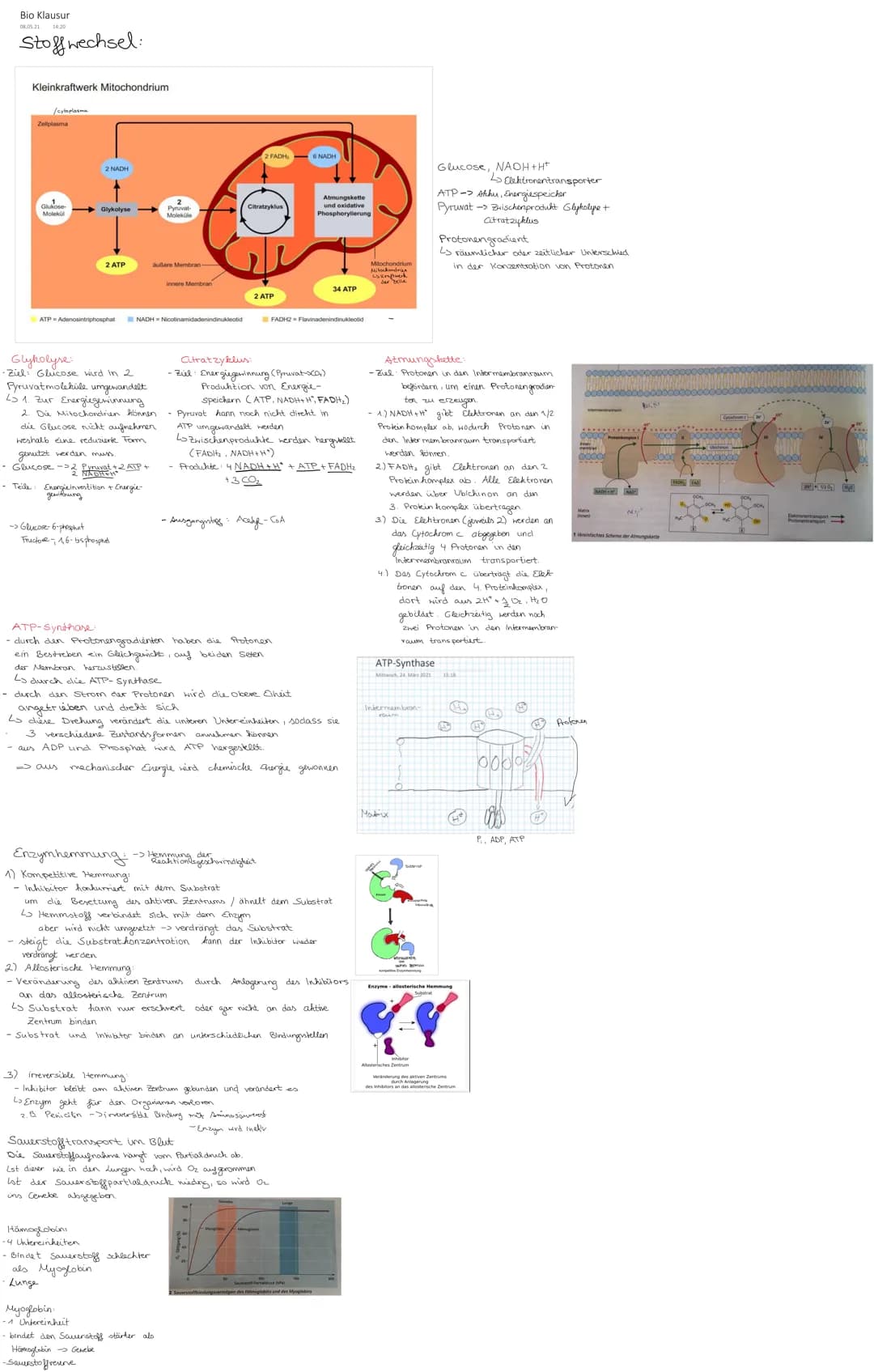 Bio Klausur
08.05.21
Stoffwechsel:
Kleinkraftwerk Mitochondrium
/cytoplasma
Zellplasma
Glukose
Moleki Glykolyse
ATP Adenosintriphosphat
2 NA