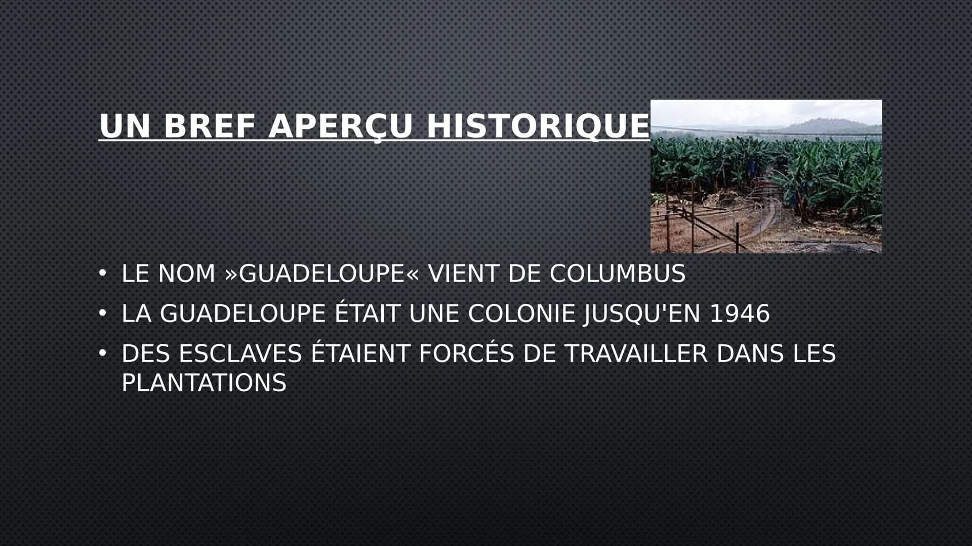 GUADELOUPE
UNE RÉGION EN FRANCE DES INFORMATIONS GÉNÉRALES
LANGUE OFFICIELLE: FRANÇAIS
LE NOMBRE D'HABITANTS: 387.629 (2018)
• LIEU PRINCIPA