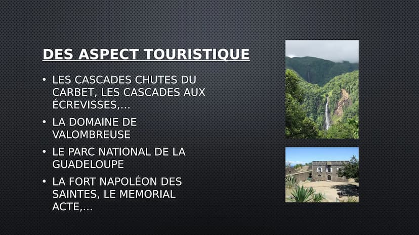 GUADELOUPE
UNE RÉGION EN FRANCE DES INFORMATIONS GÉNÉRALES
LANGUE OFFICIELLE: FRANÇAIS
LE NOMBRE D'HABITANTS: 387.629 (2018)
• LIEU PRINCIPA