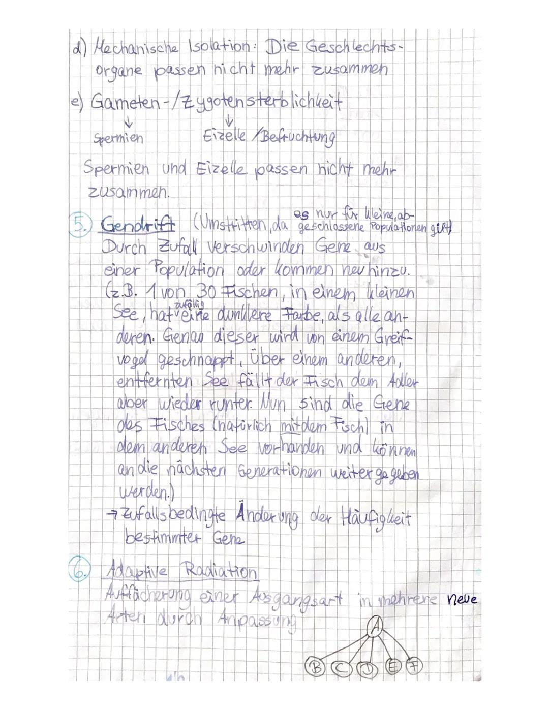 Evolutionsfaltoren
Selektion
Relombination von Erbanlagen
↳sexuelle Fort pflanzung mit Nicht- Verwandten
↳ Zufällige Verteilung der Chromoso