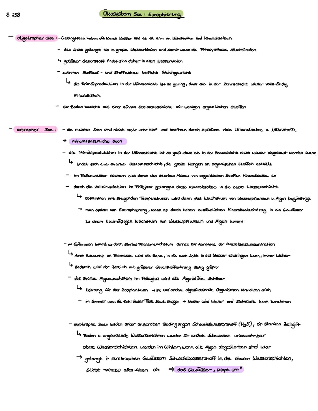 Oligotropher/eutropher See
