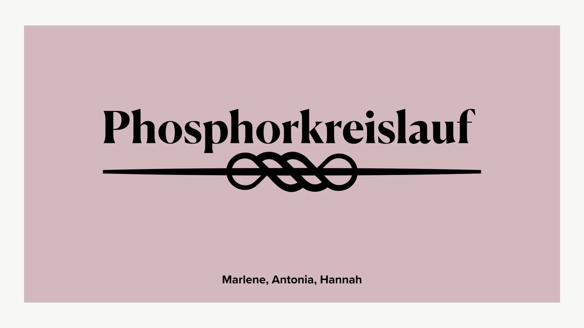 Phosphorkreislauf
es
Marlene, Antonia, Hannah Gliederung
omo
- Kreislauf
- äußere Einflüsse
- Folgen ●
●
●
Große Mengen in
Kreislauf
Apatit
