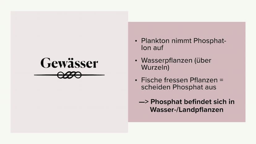 Phosphorkreislauf
es
Marlene, Antonia, Hannah Gliederung
omo
- Kreislauf
- äußere Einflüsse
- Folgen ●
●
●
Große Mengen in
Kreislauf
Apatit
