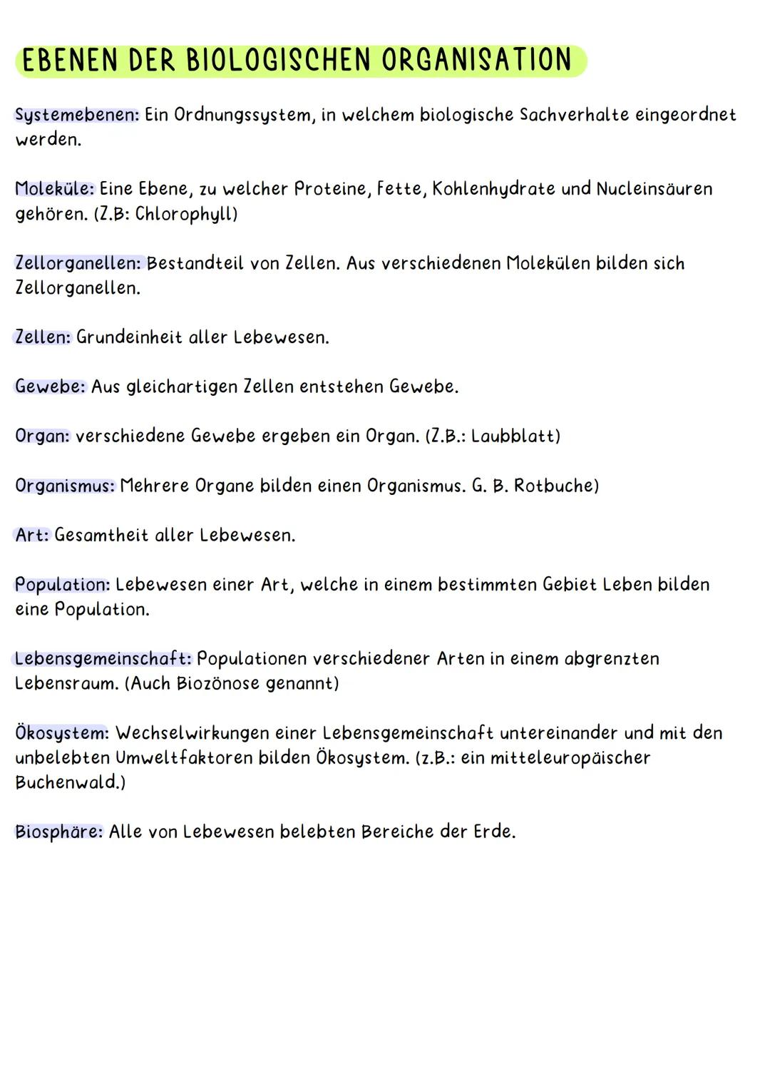 TIERISCHE ZELLE
Endoplasmatisches Cytoplasma
Retikulum
(ER)
Ribs-
Somen
M
el-LERNZETTEL BIOLOGIE-Hanna
Mitrochondrien Lysosomen
Zellmembran: