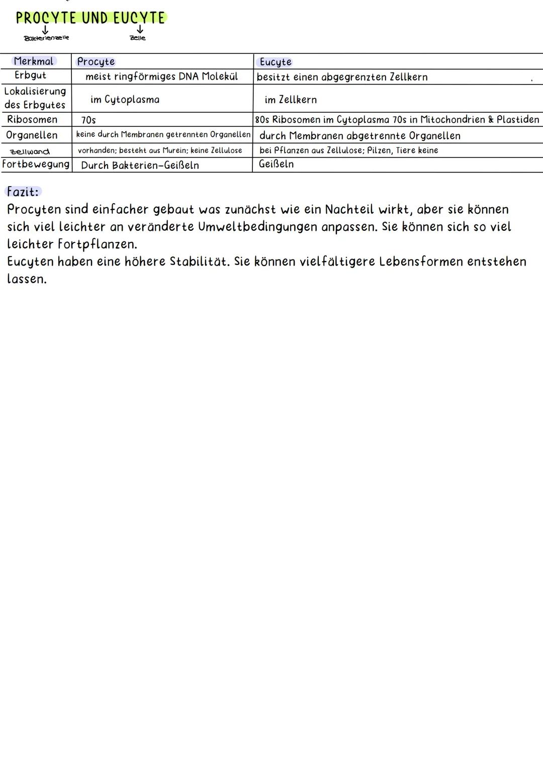 TIERISCHE ZELLE
Endoplasmatisches Cytoplasma
Retikulum
(ER)
Ribs-
Somen
M
el-LERNZETTEL BIOLOGIE-Hanna
Mitrochondrien Lysosomen
Zellmembran: