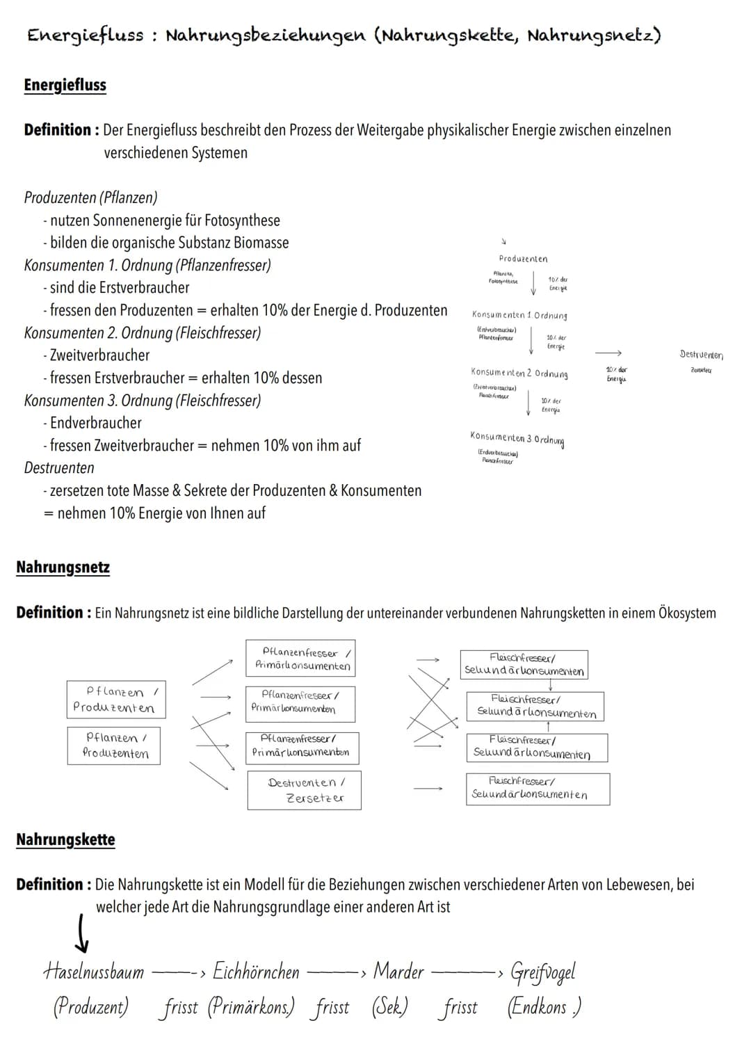 Q2
Ökologie BIOLOGY Abitur Checkliste - Themenübersicht
Strukturierung von Ökosystemen an einem Beispiel
abiotische Faktoren und deren Einfl