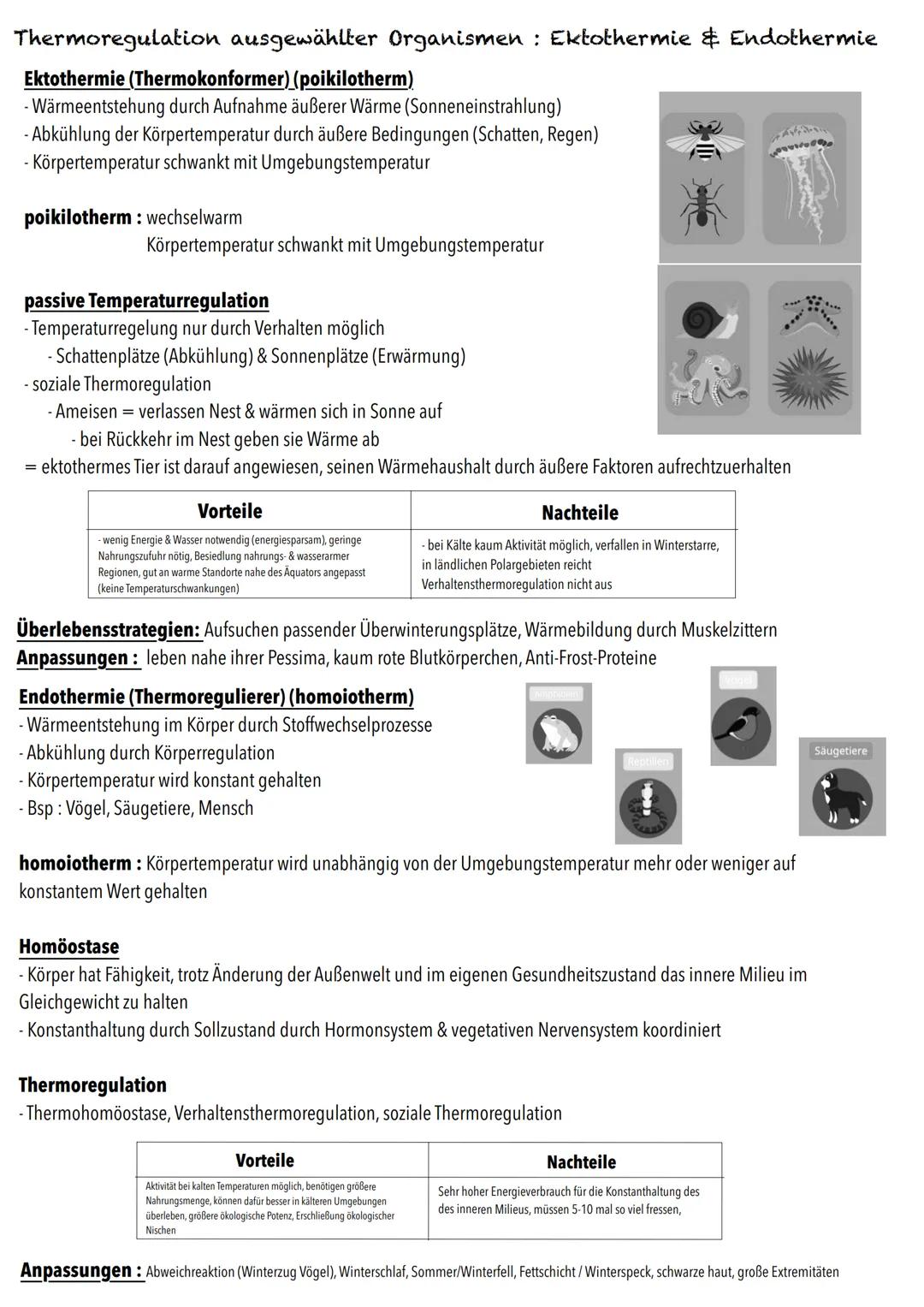 Q2
Ökologie BIOLOGY Abitur Checkliste - Themenübersicht
Strukturierung von Ökosystemen an einem Beispiel
abiotische Faktoren und deren Einfl