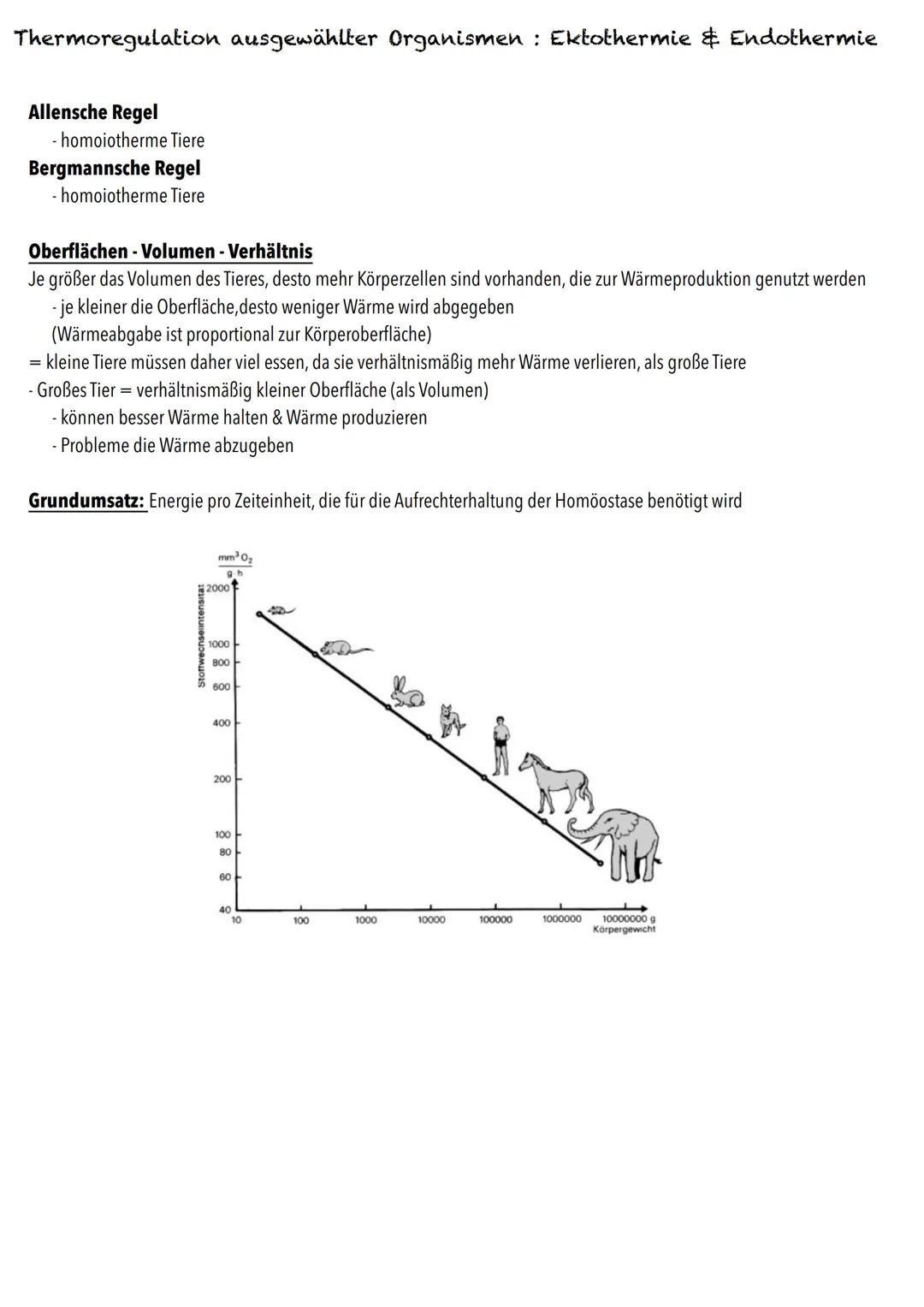 Q2
Ökologie BIOLOGY Abitur Checkliste - Themenübersicht
Strukturierung von Ökosystemen an einem Beispiel
abiotische Faktoren und deren Einfl