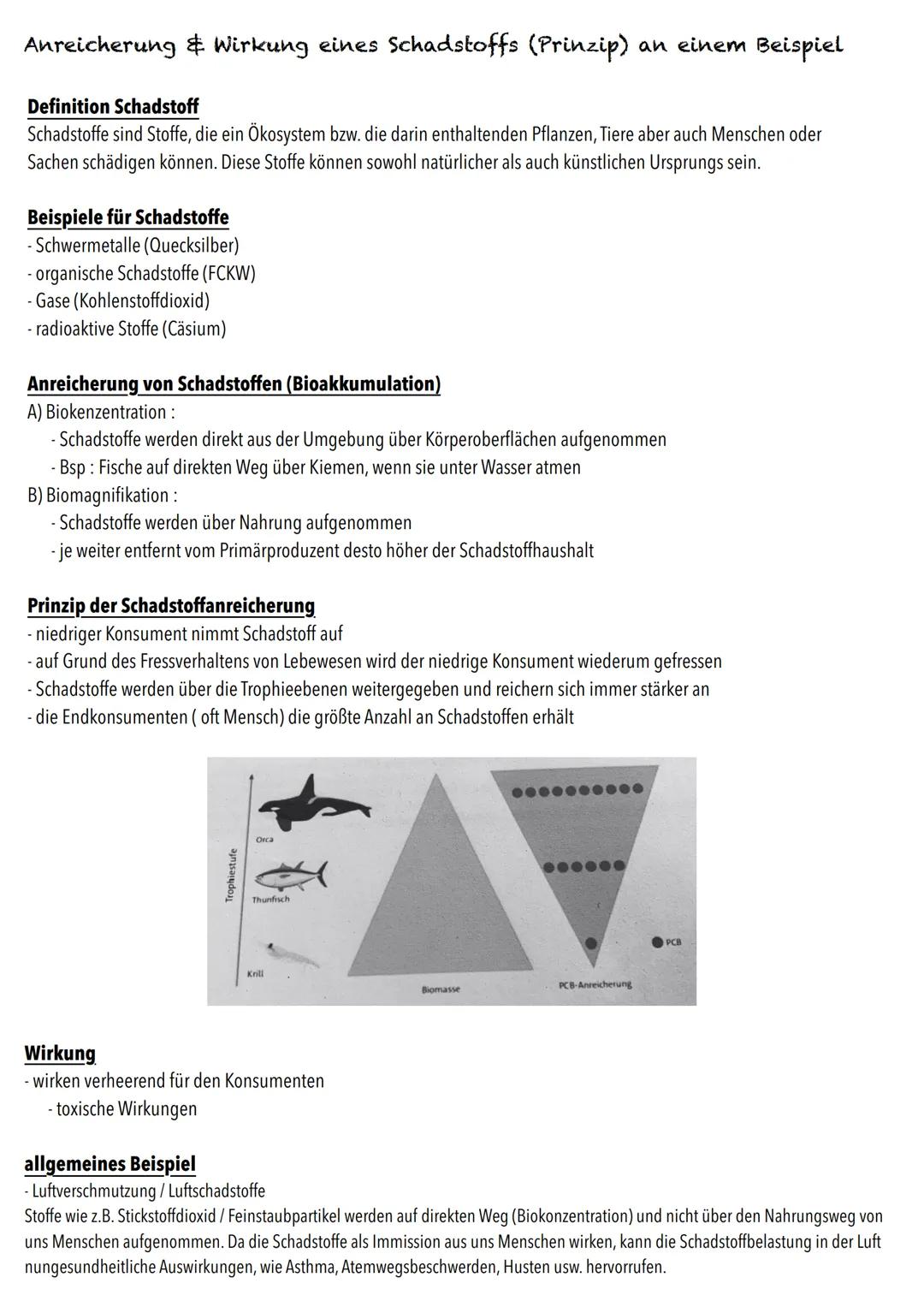 Q2
Ökologie BIOLOGY Abitur Checkliste - Themenübersicht
Strukturierung von Ökosystemen an einem Beispiel
abiotische Faktoren und deren Einfl