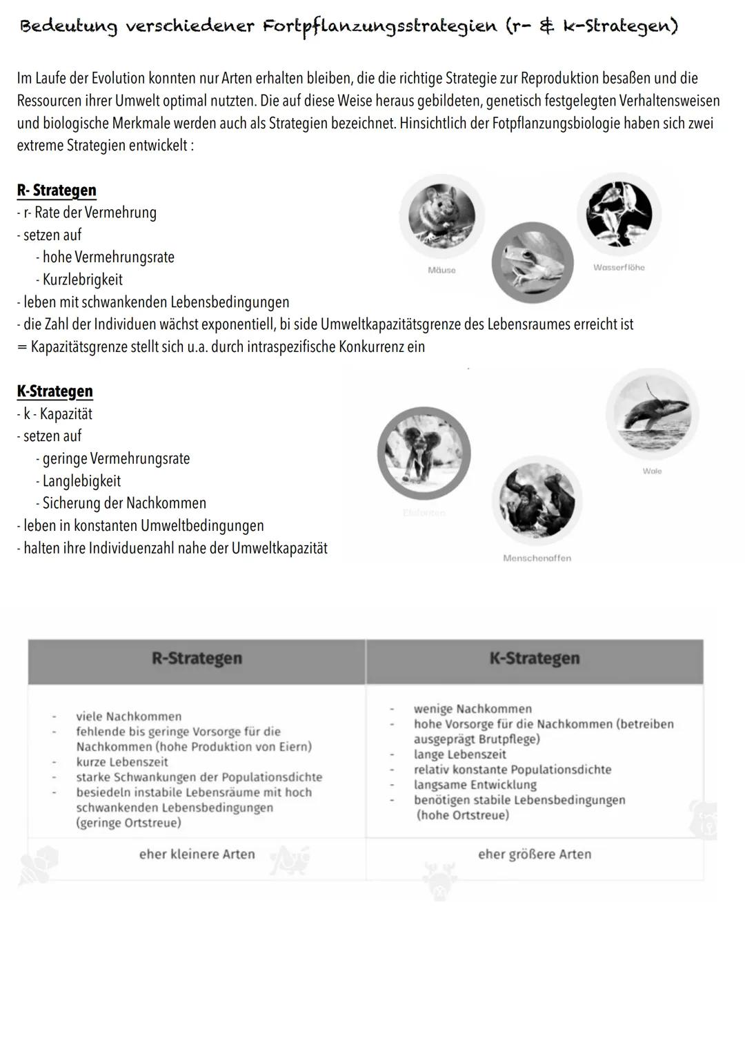 Q2
Ökologie BIOLOGY Abitur Checkliste - Themenübersicht
Strukturierung von Ökosystemen an einem Beispiel
abiotische Faktoren und deren Einfl