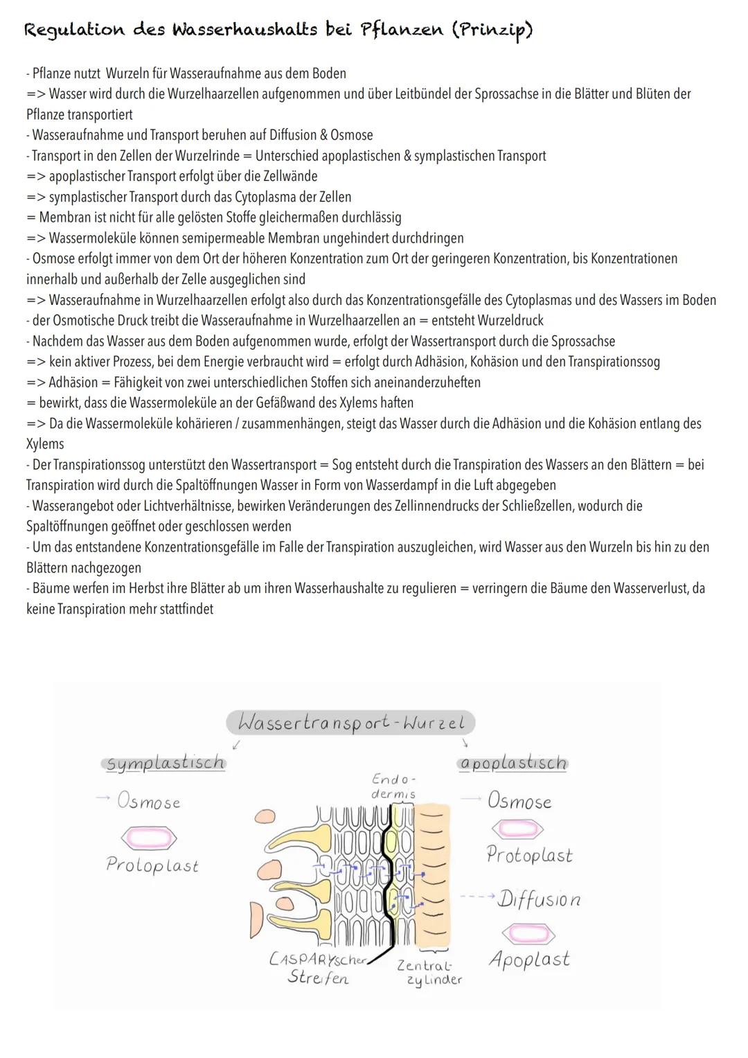 Q2
Ökologie BIOLOGY Abitur Checkliste - Themenübersicht
Strukturierung von Ökosystemen an einem Beispiel
abiotische Faktoren und deren Einfl