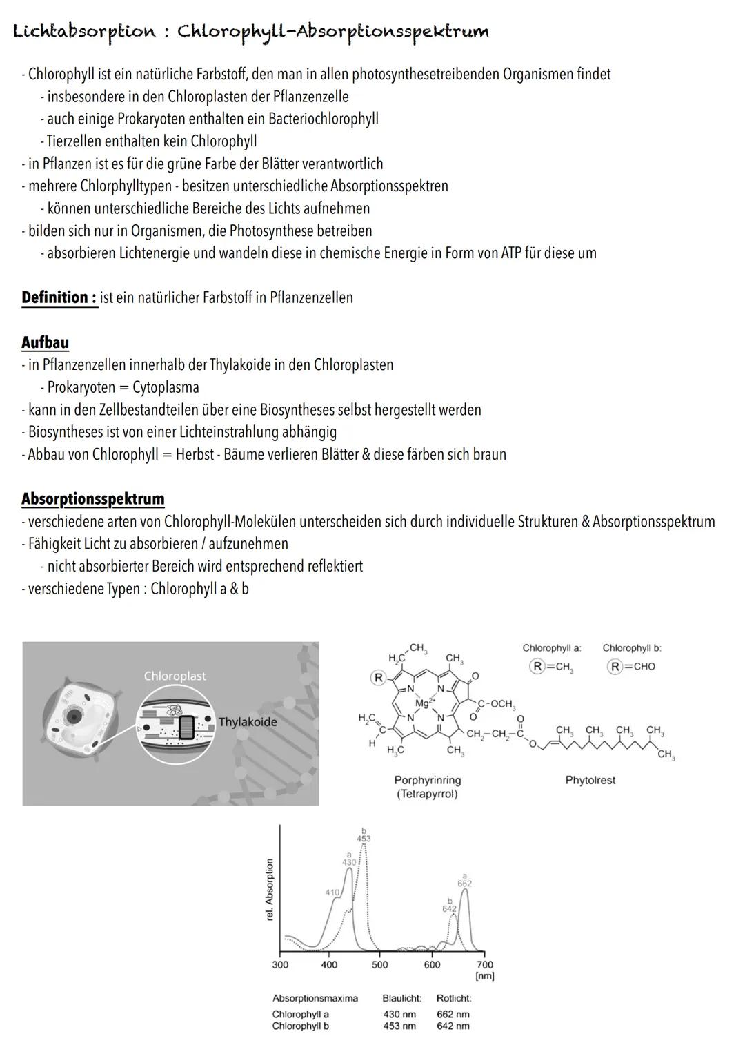 Q2
Ökologie BIOLOGY Abitur Checkliste - Themenübersicht
Strukturierung von Ökosystemen an einem Beispiel
abiotische Faktoren und deren Einfl