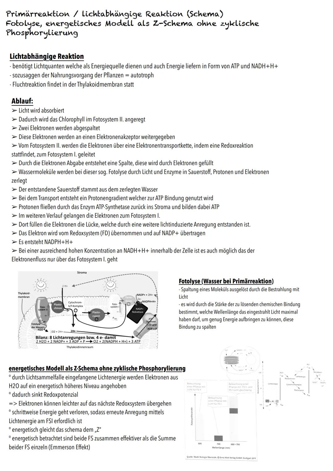 Q2
Ökologie BIOLOGY Abitur Checkliste - Themenübersicht
Strukturierung von Ökosystemen an einem Beispiel
abiotische Faktoren und deren Einfl